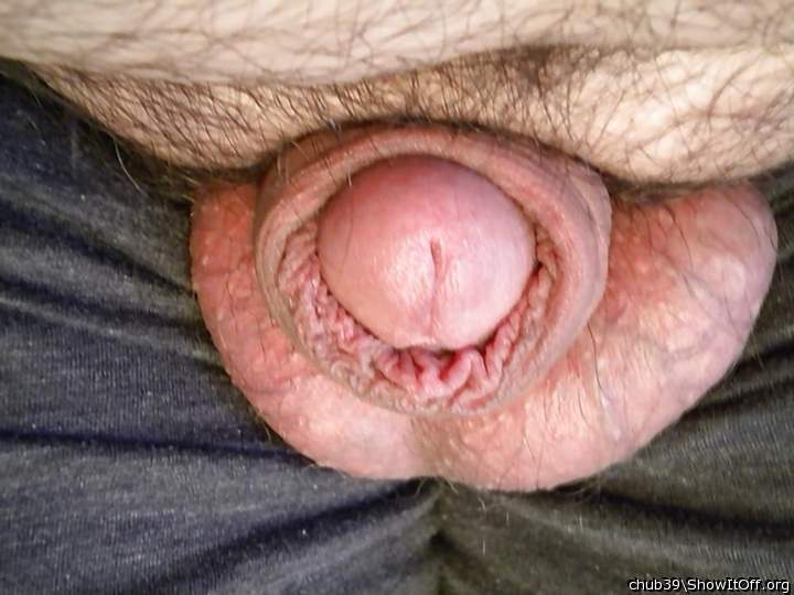 Adult image from chub39