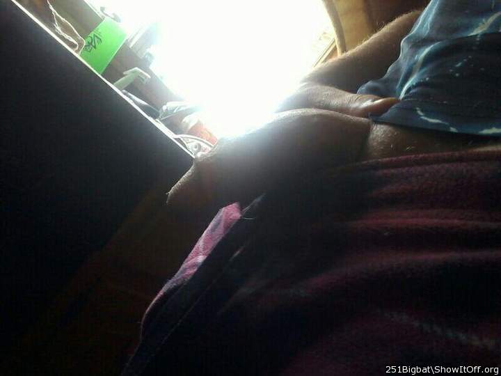 Adult image from 251bigbat