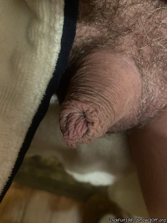 Adult image from DickFun1981