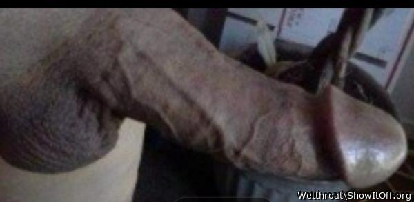 Adult image from Wetthroat