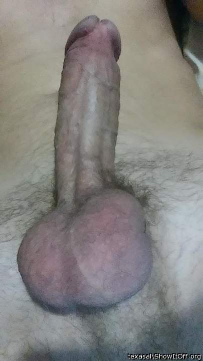 Adult image from texasal