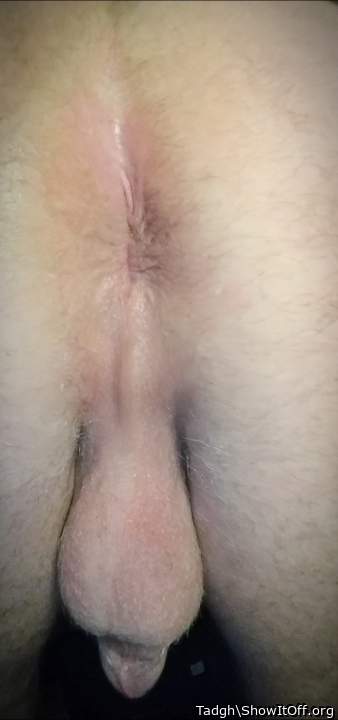 Adult image from Tadgh