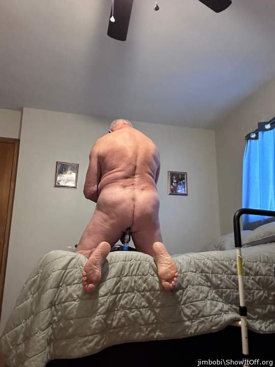 Adult image from jimbobi