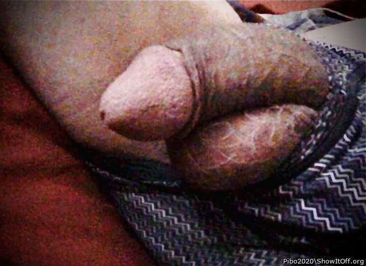 Adult image from Pibo2020