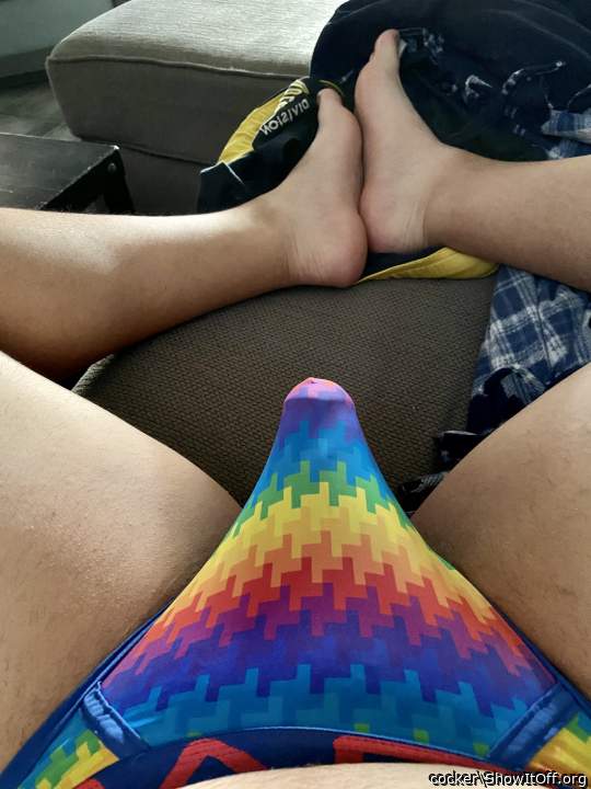 Adult image from cocker