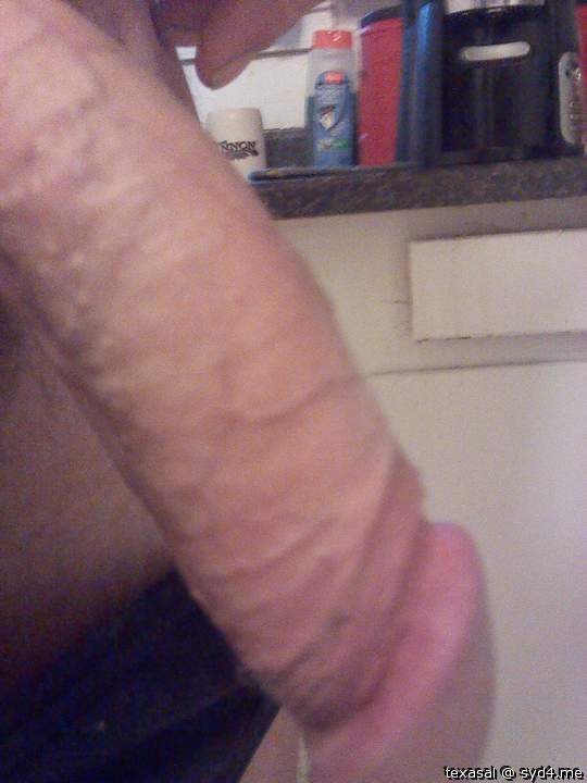 Adult image from texasal