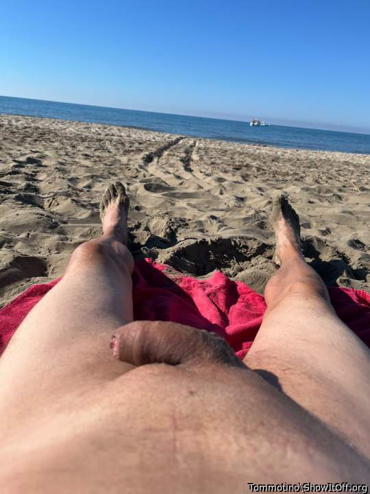 Adult image from Tommotino