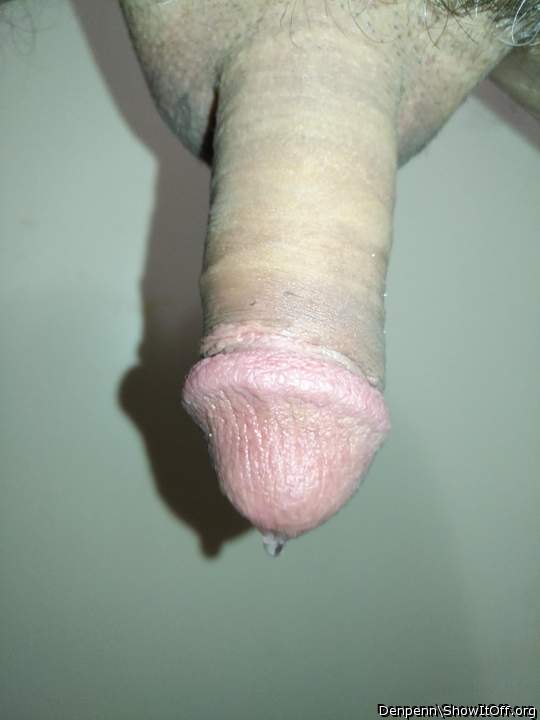 Adult image from Denpenn