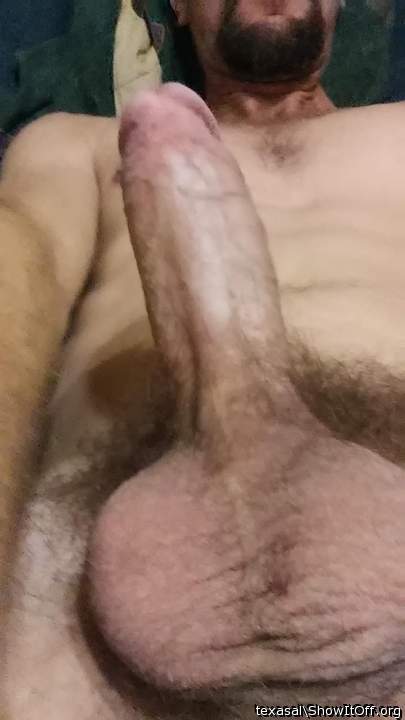 Adult image from texasal