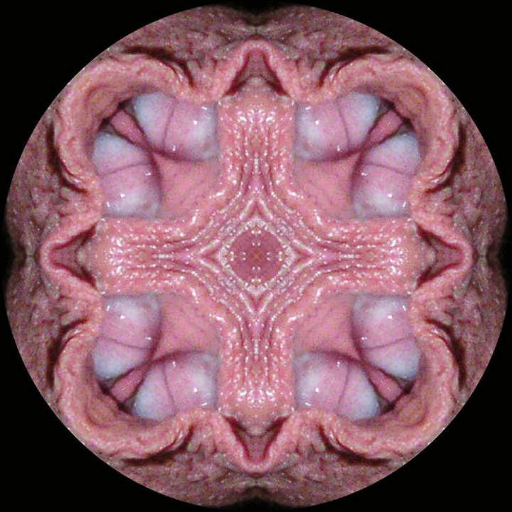 Adult image from slipper