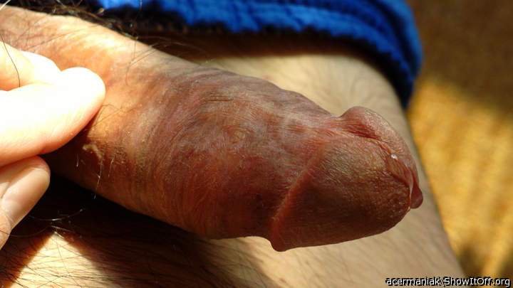 Adult image from porlokino