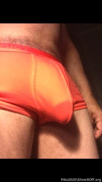 Adult image from Pibo2020