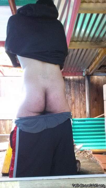 Adult image from fatP