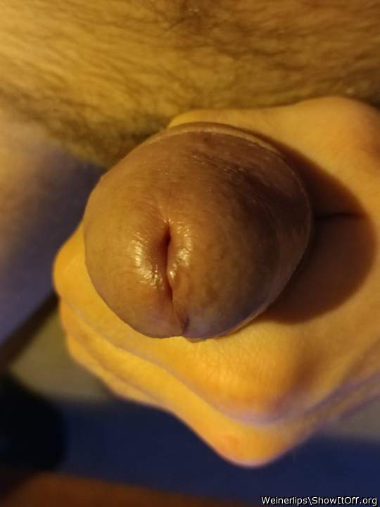 Adult image from weinerlips