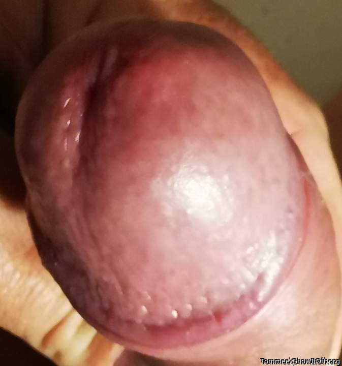 Adult image from Tommee