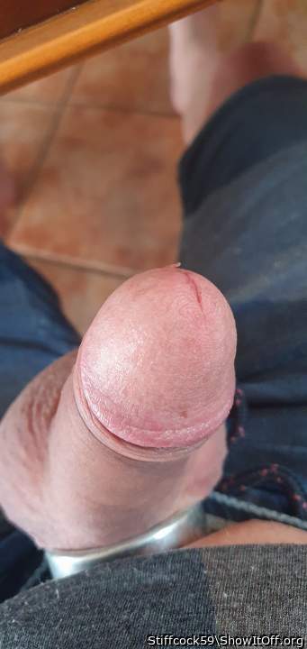 Adult image from Stiffcock59