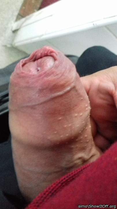 Adult image from simo