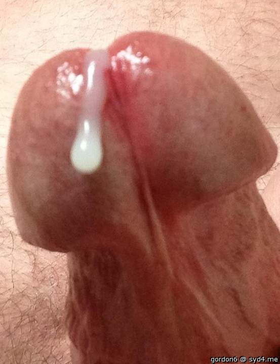 Adult image from gordon6