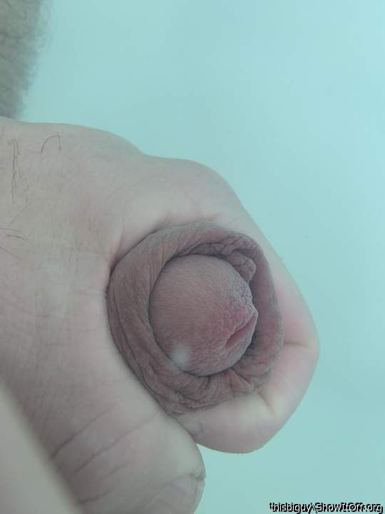 Adult image from thisbiguy