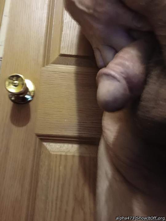 Adult image from alpha473