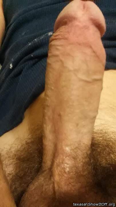Adult image from texasal