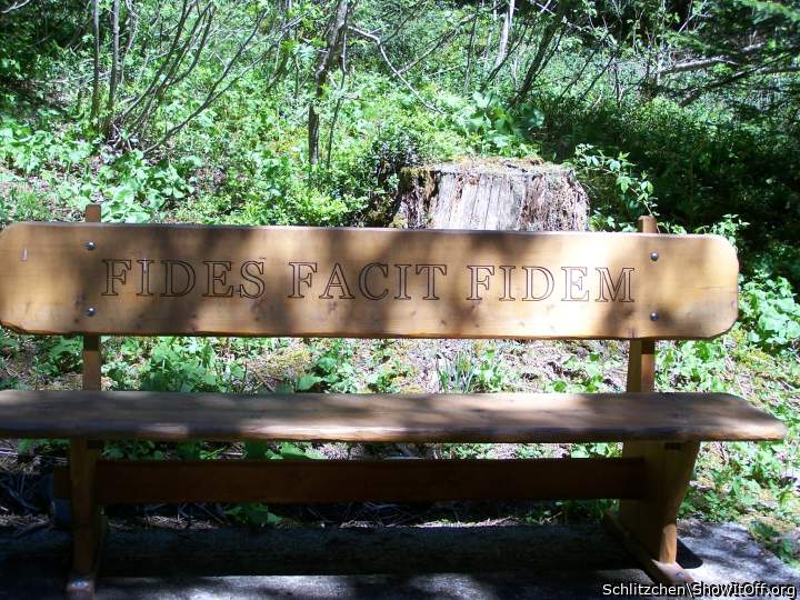 very interesting latin proverb