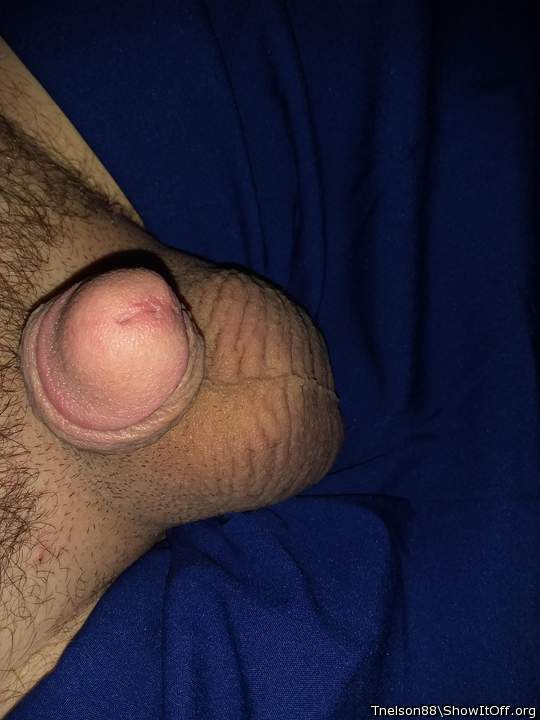 Adult image from Tnelson88