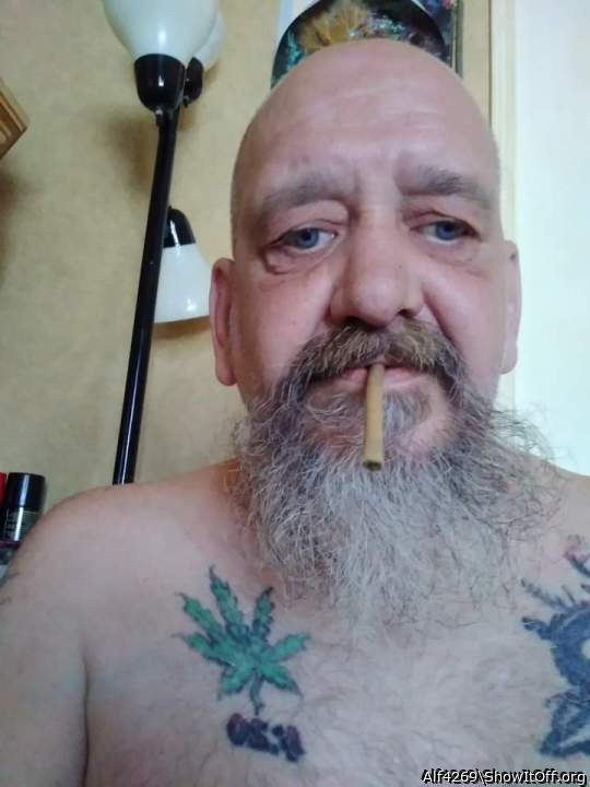 Adult image from Alf4269