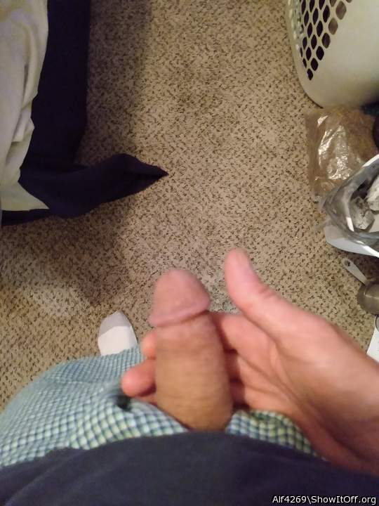 Adult image from Alf4269