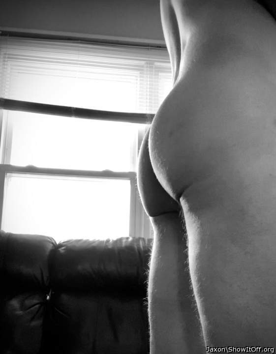 Adult image from Jaxon