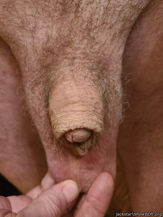 Adult image from jackstar