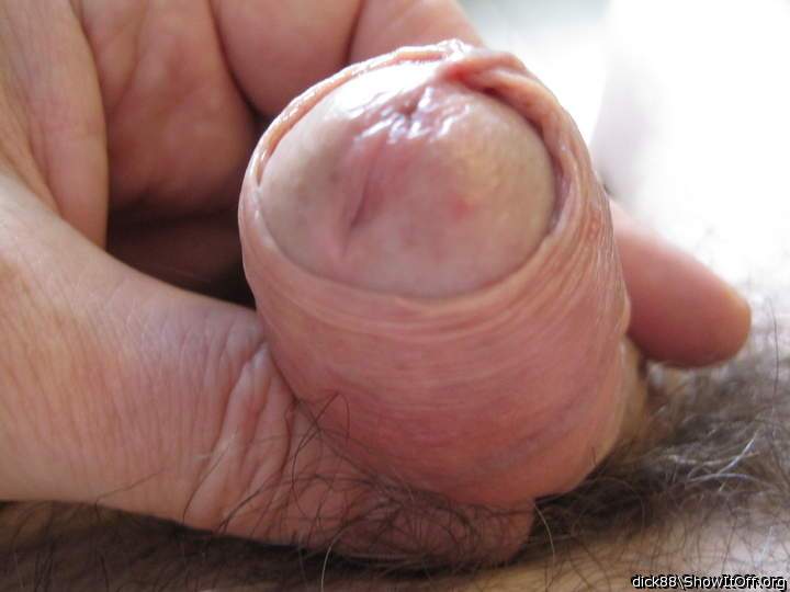 Adult image from Dick88