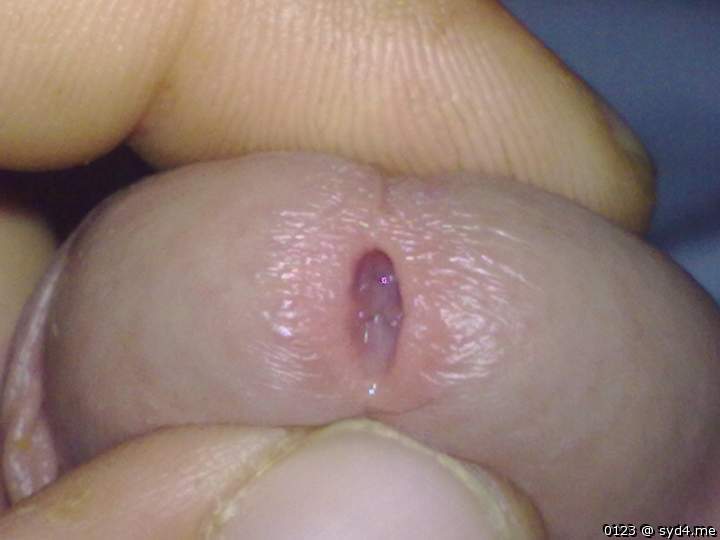 Adult image from 0123