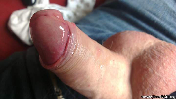 Adult image from covas