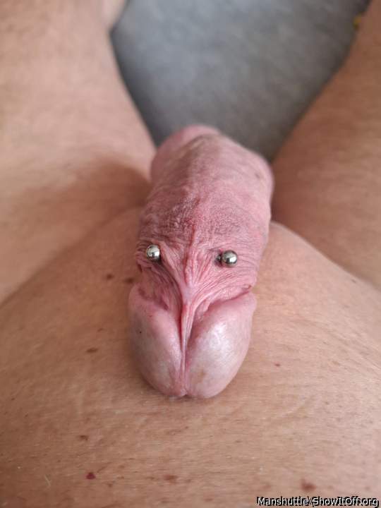 Adult image from Manshuttle