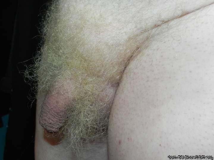 Adult image from dom-58