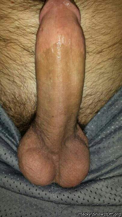 Adult image from macky