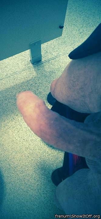 Adult image from Frenum