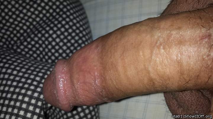 Adult image from stab1