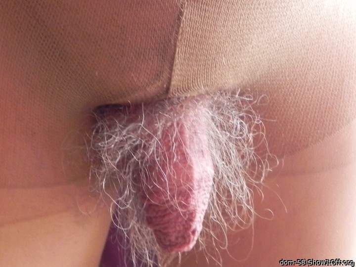 Adult image from dom-58