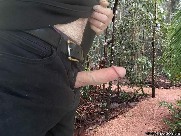 Nice looking track for a BJ 