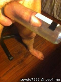 Adult image from coyote7666
