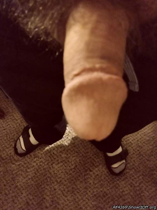 Adult image from Alf4269