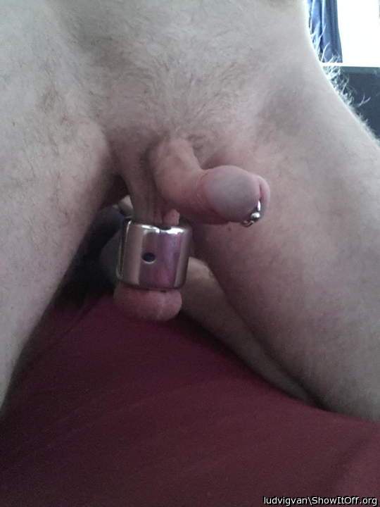 Adult image from ludvigvan