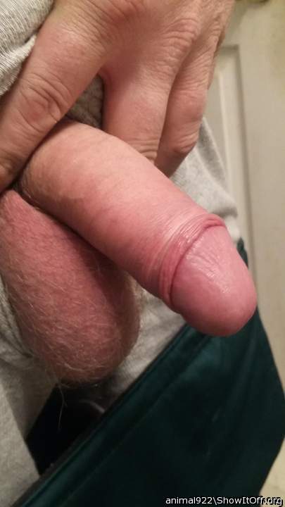 Adult image from Animal922