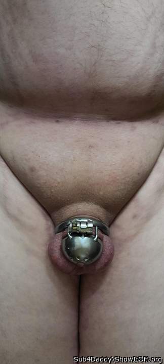 Adult image from Sub4Daddy