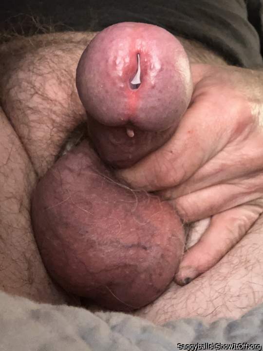 Beautiful fat dick...delicious in my face view!!   
