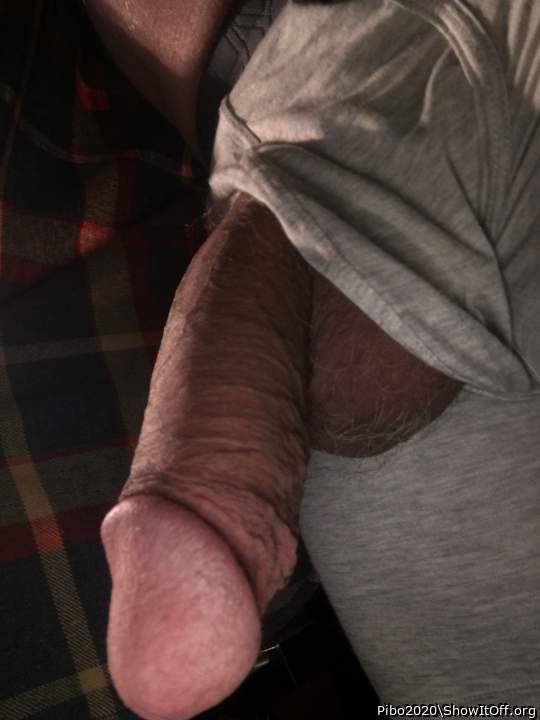 Adult image from Pibo2020