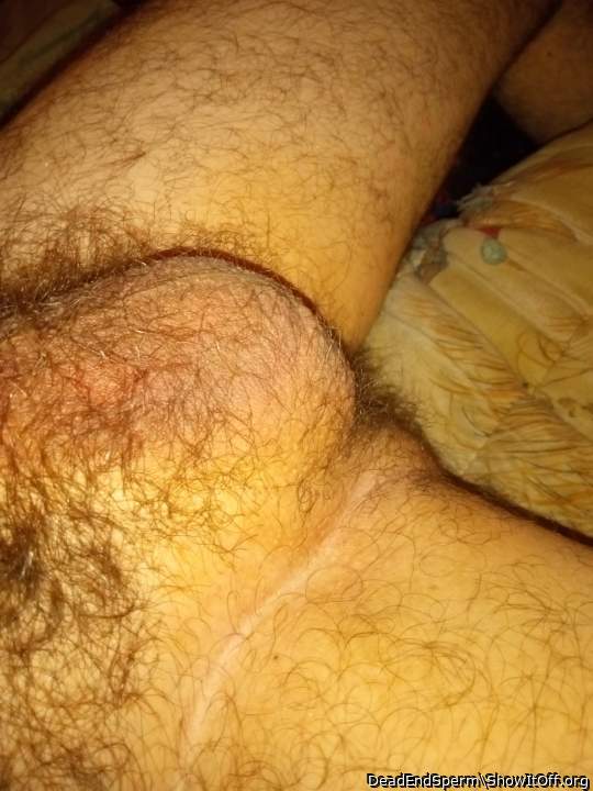 Adult image from DeadEndSperm