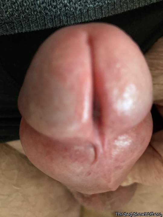 Adult image from Thirdleg